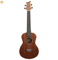 Ivan's UT-10 tenor ukulele